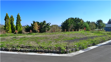 敷地北方向を撮影