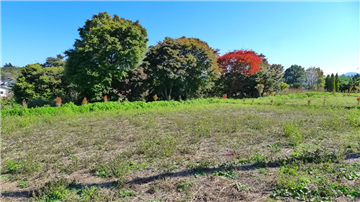 敷地南東方向を撮影