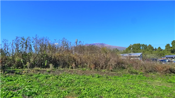 長倉・借宿　区画7