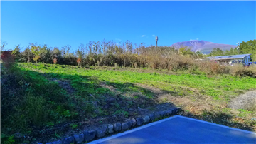 南側接道から敷地北方向を撮影