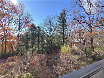 2階バルコニーより南西方向の眺望