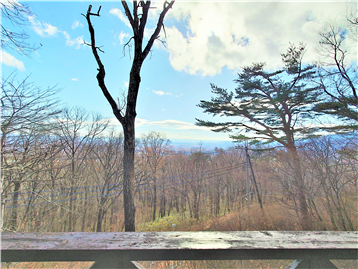 ウッドデッキより南方向の眺望