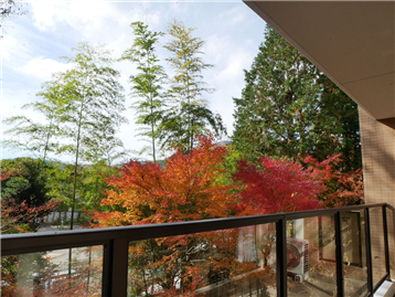 バルコニーから西方向を撮影