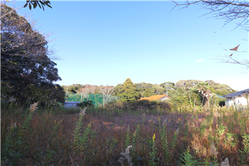 敷地南西側から北方向を撮影