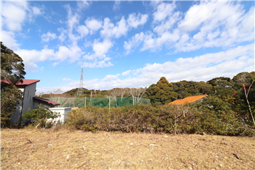 敷地中央付近から北側の様子