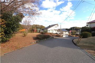 南側道路の様子