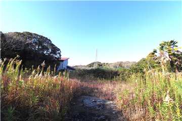 敷地南側から北方向撮影