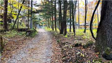 西側前面道路／北方向を撮影