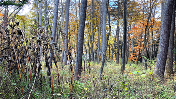 敷地南東方向を撮影