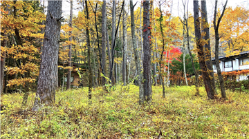 敷地北西方向を撮影
