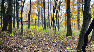 敷地北東方向を撮影