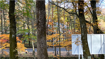 敷地から東方向を撮影