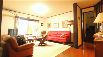 リビングIMG_2975