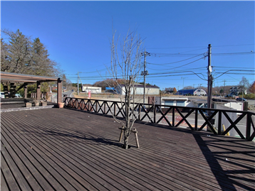 ウッドデッキより東方向の眺望