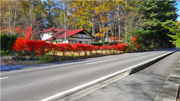 西側接道(北西方向を撮影)