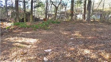 敷地内（東側を撮影）