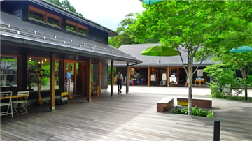 ハルニレテラスまで約1.3㎞