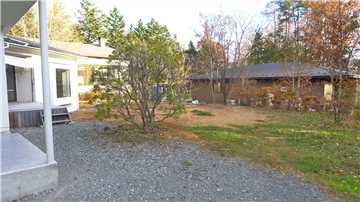 敷地内(南東側を撮影)