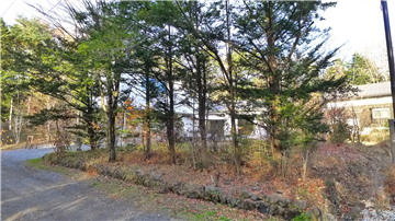 西側道路から見た敷地