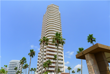 外観/南面を撮影