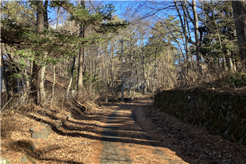 接面道路を北東方向に撮影