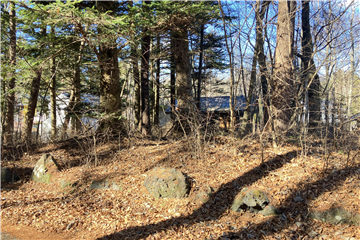 丸紅・富士桜別荘地