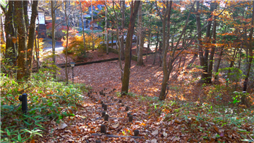 敷地内(南西方向を撮影)