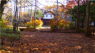 敷地内(南東方向を撮影)