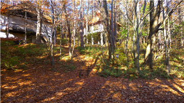 敷地内/古家付(南方向より撮影)