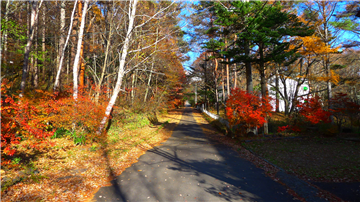 前面道路(北東方向を撮影)