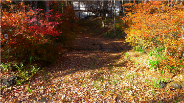 カースペース(1台駐車可)