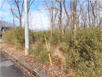 接面道路の南側より敷地内北方向