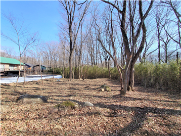 敷地内南西側より北東方向