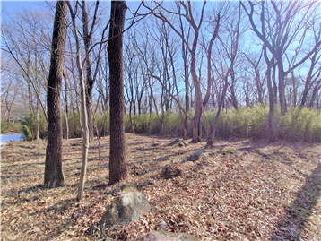 敷地内西側より東方向