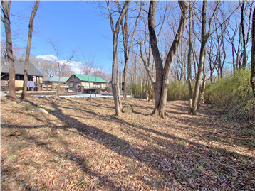 敷地内南側より北方向