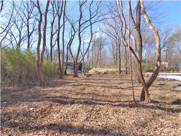 敷地内北東側より南西方向