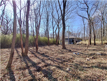 敷地内北側より南方向