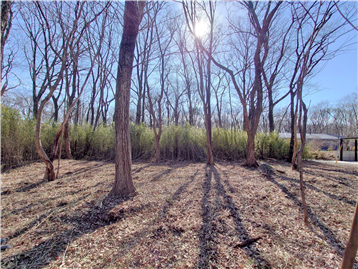 敷地内北西側より南東方向