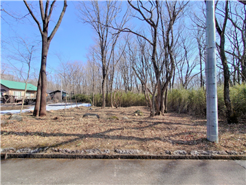 ロイヤルバレーＥＡＳＴ