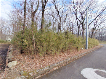 接面道路の西側より敷地内東方向