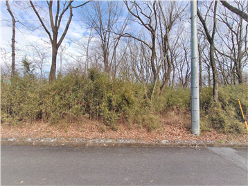 ロイヤルバレーＥＡＳＴ