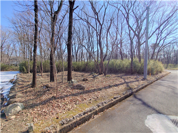 接面道路の西側より敷地内東方向