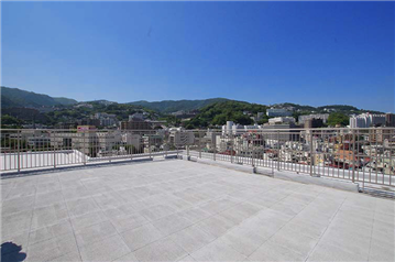 スカイガーデン