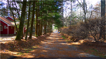 南側前面道路（南西方向を撮影）