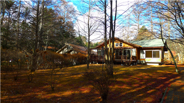 敷地内（北西方向を撮影）