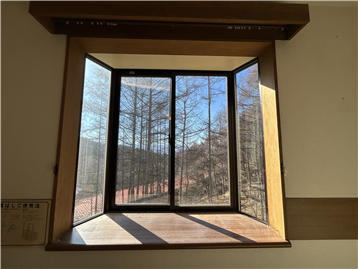 南向きの出窓は室内を明るく照らします。