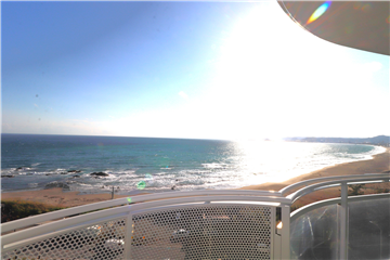 サーフサイド鴨川