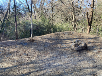 庭（洋室１から南東方向を撮影）