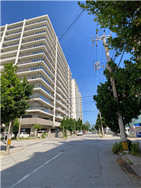 東側接道（奥が対象不動産）