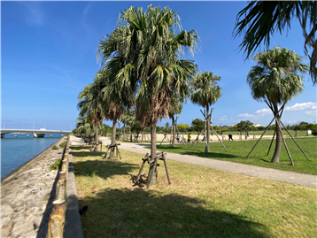 浦添ふ頭南緑地まで約340m